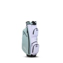 Zestaw kijów do golfa CALLAWAY REVA 26 PEACH/SURF (damski, 10 kijów z torbą cartbag, grafit set)