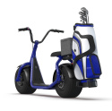 Kaaspeed K1S Electric Golf Scooter with Aluminum Frame, Golf Bag Transport