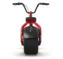 Kaaspeed K1S Electric Golf Scooter with Aluminum Frame, Golf Bag Transport