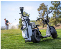 Kaaspeed K1S Electric Golf Scooter with Aluminum Frame, Golf Bag Transport